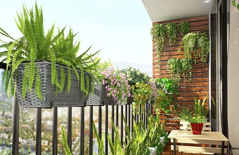 Trang trí ban công bằng cây xanh