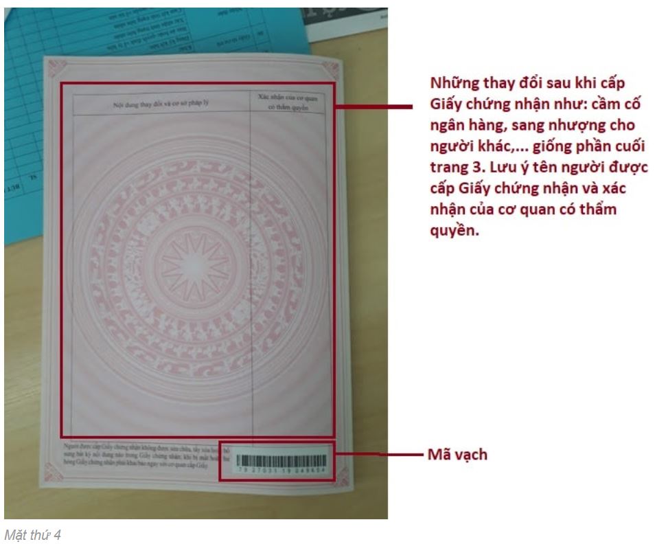 Định giá và chọn loại hình