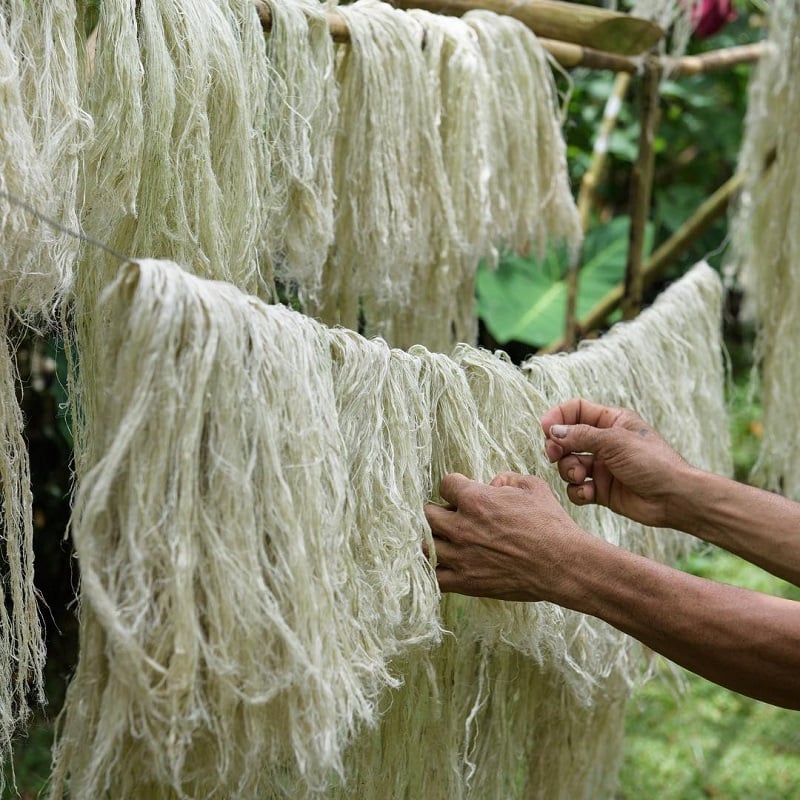 Đặc điểm của vải sợi dứa