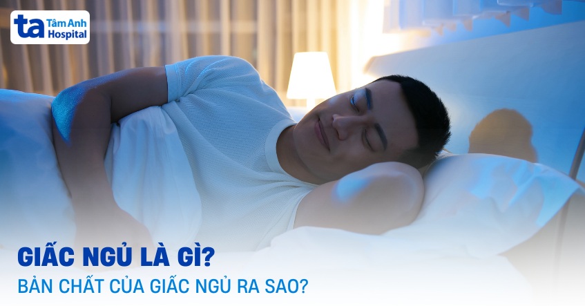 Giấc ngủ là một trạng thái sinh học có chu kỳ