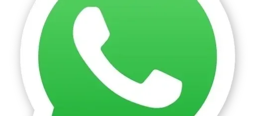 Rau củ quả hữu cơ tươi sạch trong giỏ nông sản