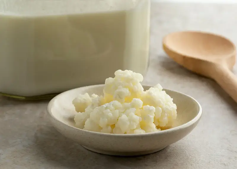 Kefir lên men với hệ vi sinh đa dạng