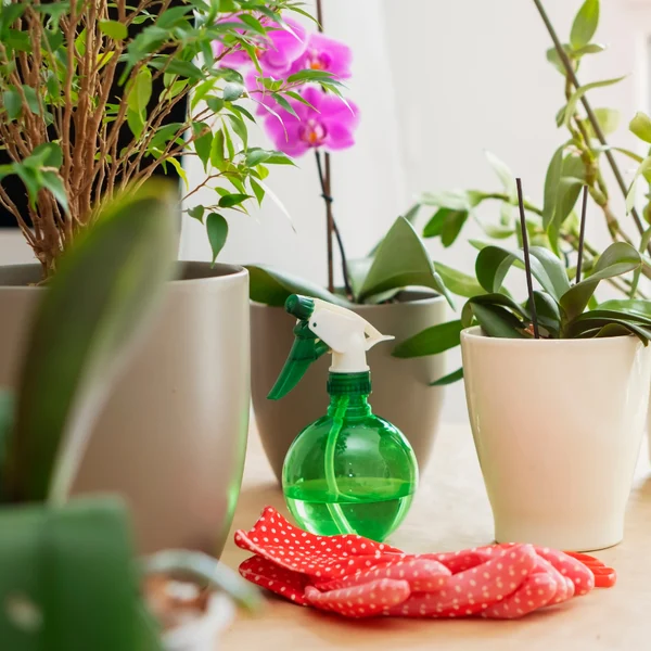 Đảm bảo độ ẩm