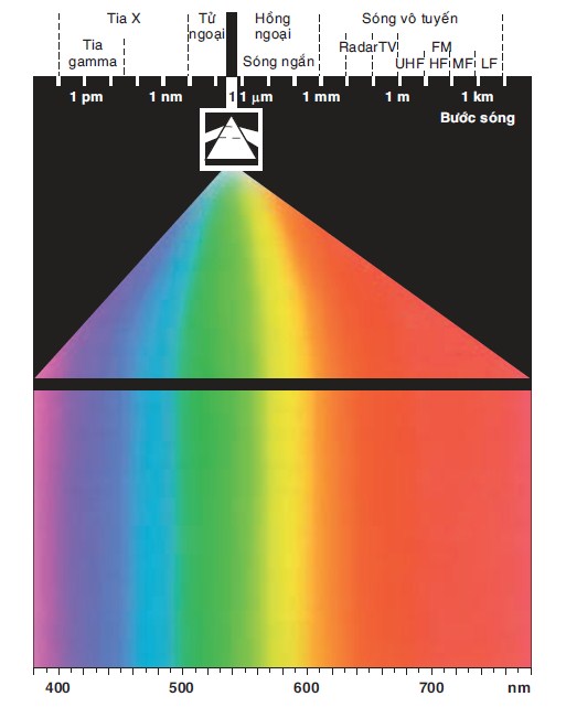 Phòng sáng tự nhiên dịu mắt