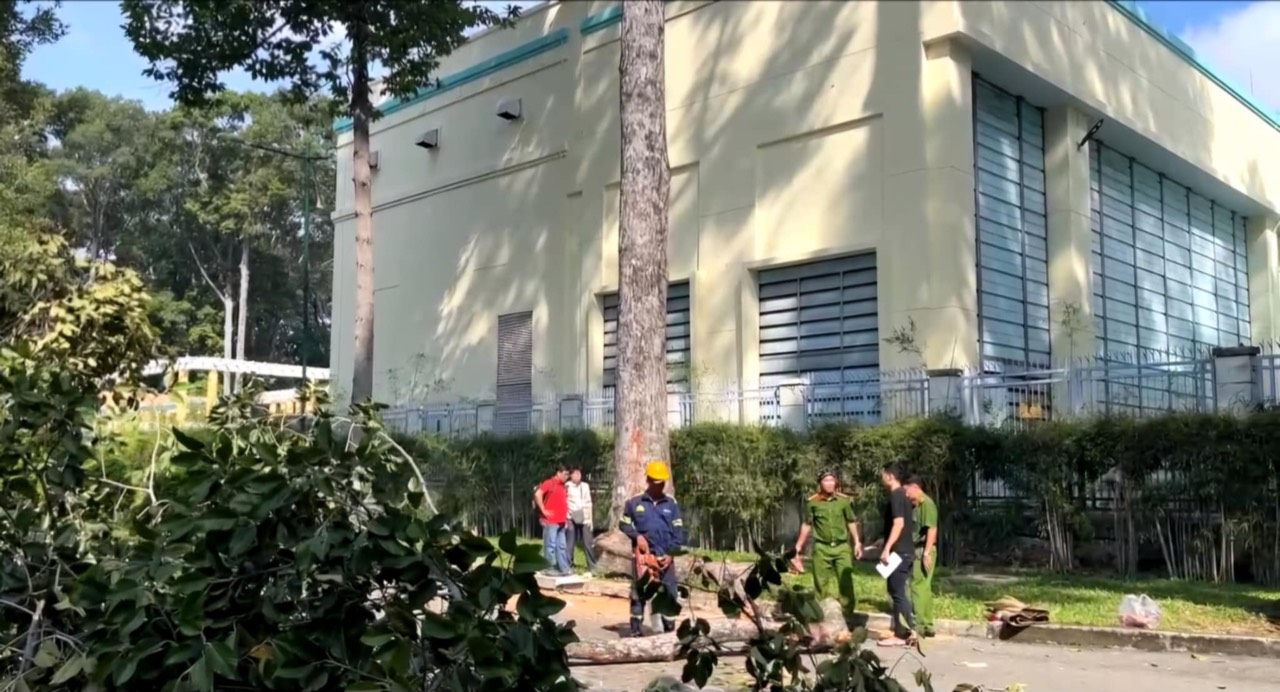 Kiểm tra dự án xanh