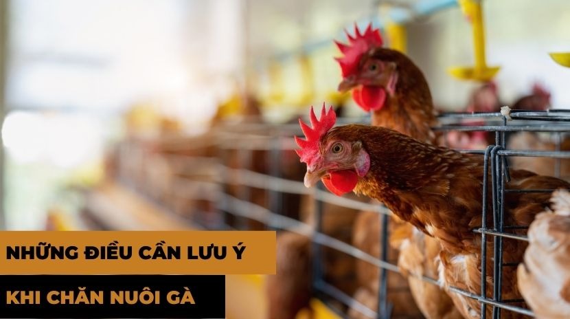Lập kế hoạch trả nợ mua nhà