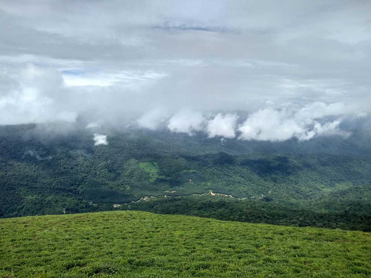 Cảnh quan đồi cà phê ở Coorg, phù hợp cho hành trình ngắn ngày từ Mangalore