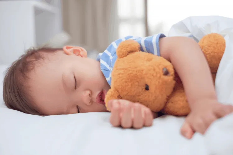 Các giai đoạn của giấc ngủ và chu kỳ NREM, REM