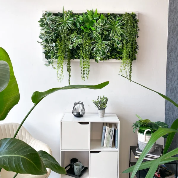 Bản chất của cây trồng trong nhà thiếu sáng