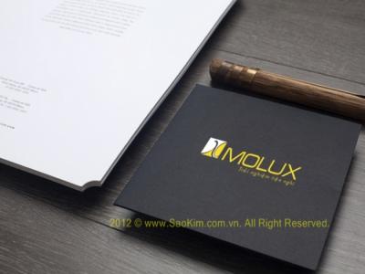 Thiết kế thương hiệu cho chuỗi siêu thị nội thất MOLUX