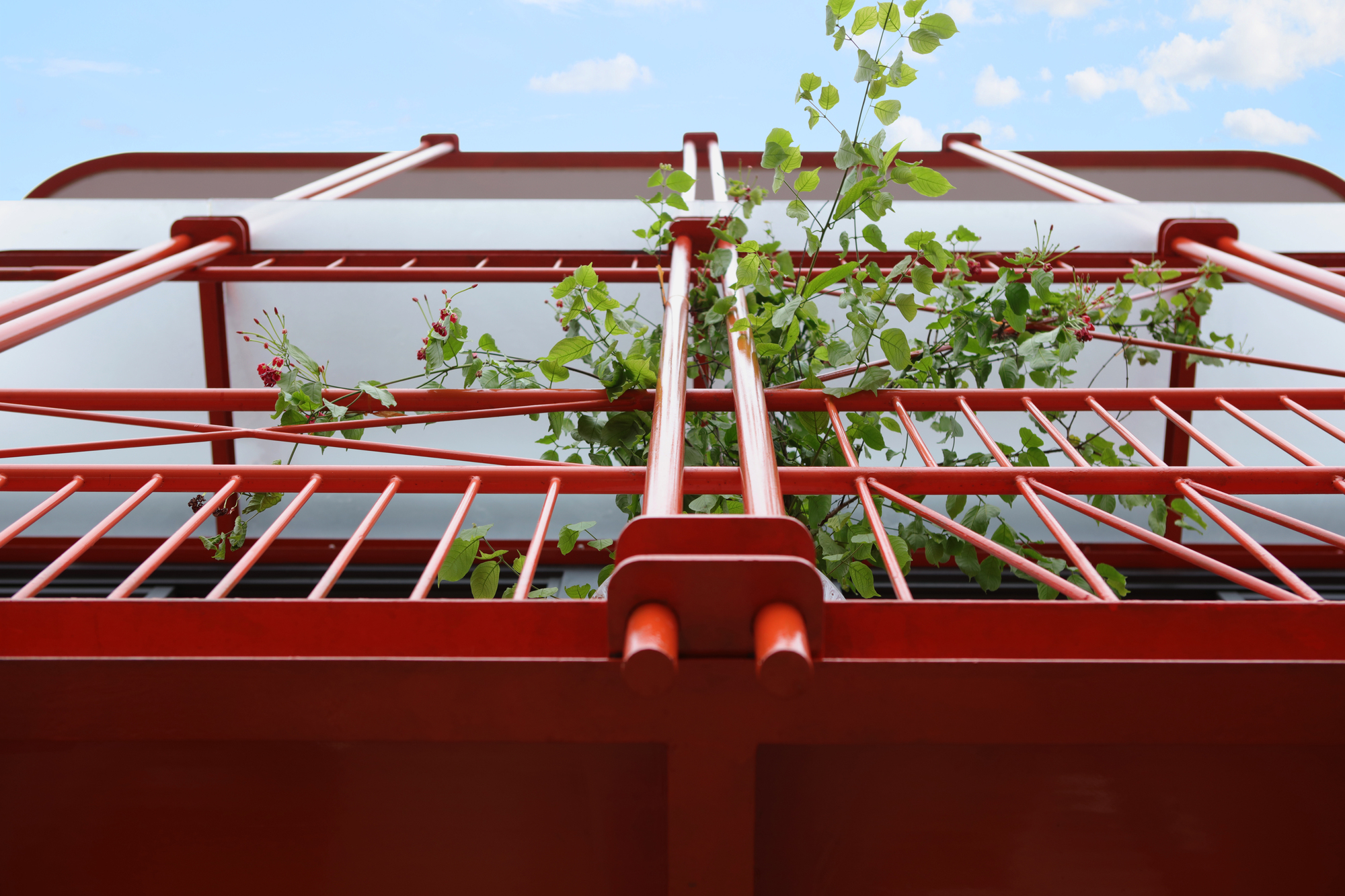 Thiết kế căn hộ Violet Duplex tại Jasmine House