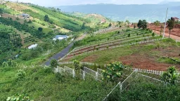 Đất nền cắt lỗ sau nhiều năm