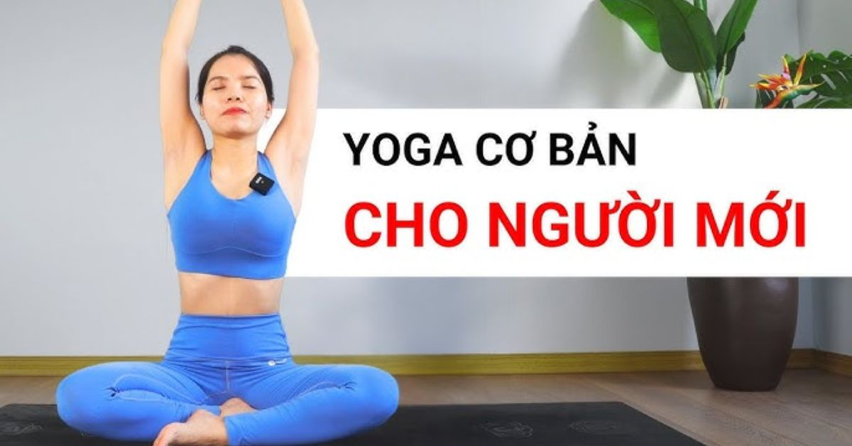 Cách tập yoga tại nhà đúng cách cho người mới