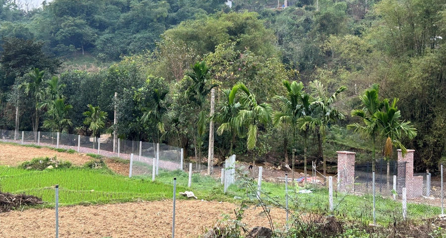 Thanh lọc dự án kém chất lượng