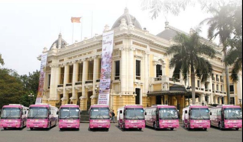 Dự án định vị thương hiệu Springo của tập đoàn ABC