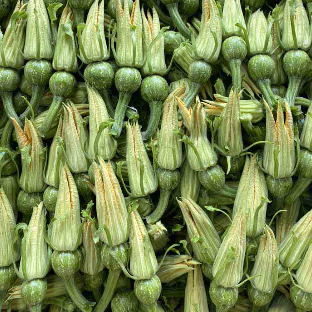 Bông bí nụ