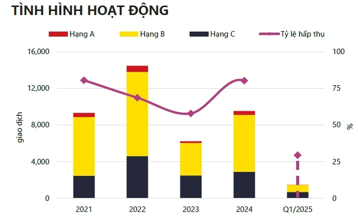 Bản tóm lược thị trường quý 1