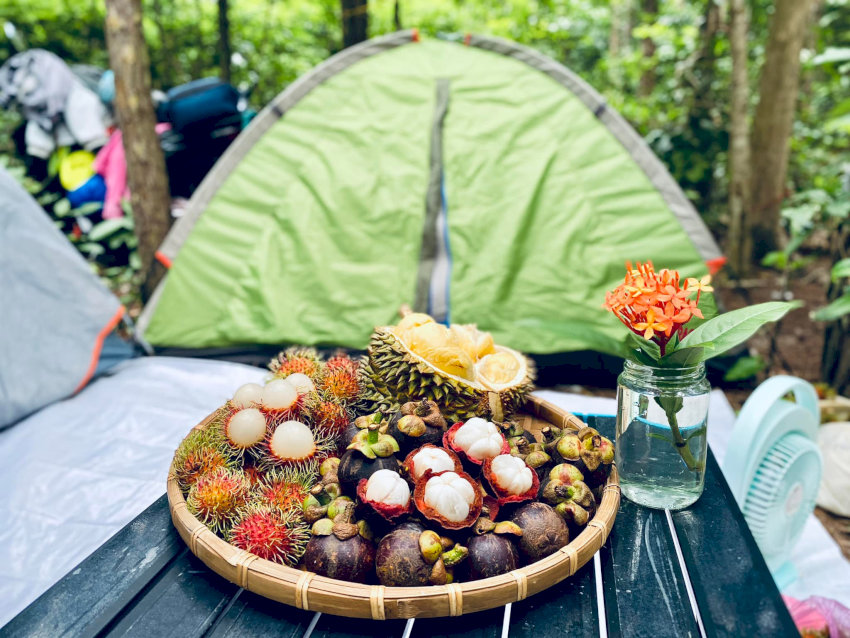 Camping giữa rừng và tận hưởng hoa quả tươi mát - Nguồn: Internet
