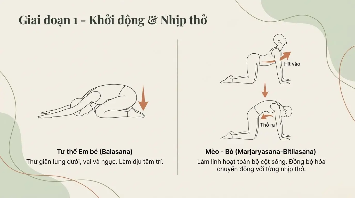 Giai đoạn 1 khởi động và nhịp thở