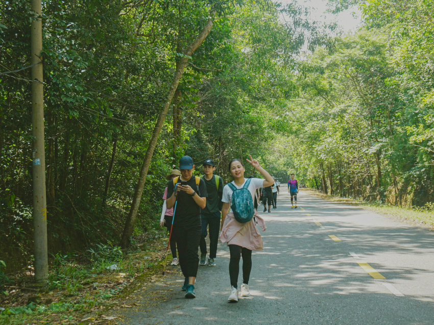 Trekking núi Dinh có cả cung đường bê tông - Nguồn: Internet