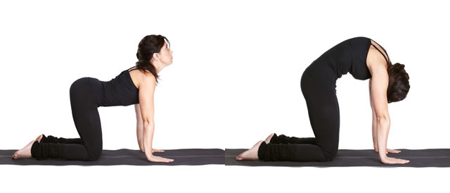 Các bài tập Yoga chữa gù lưng