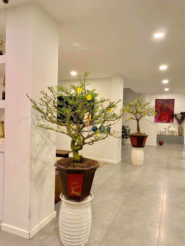 Vị trí và hạ tầng nhà