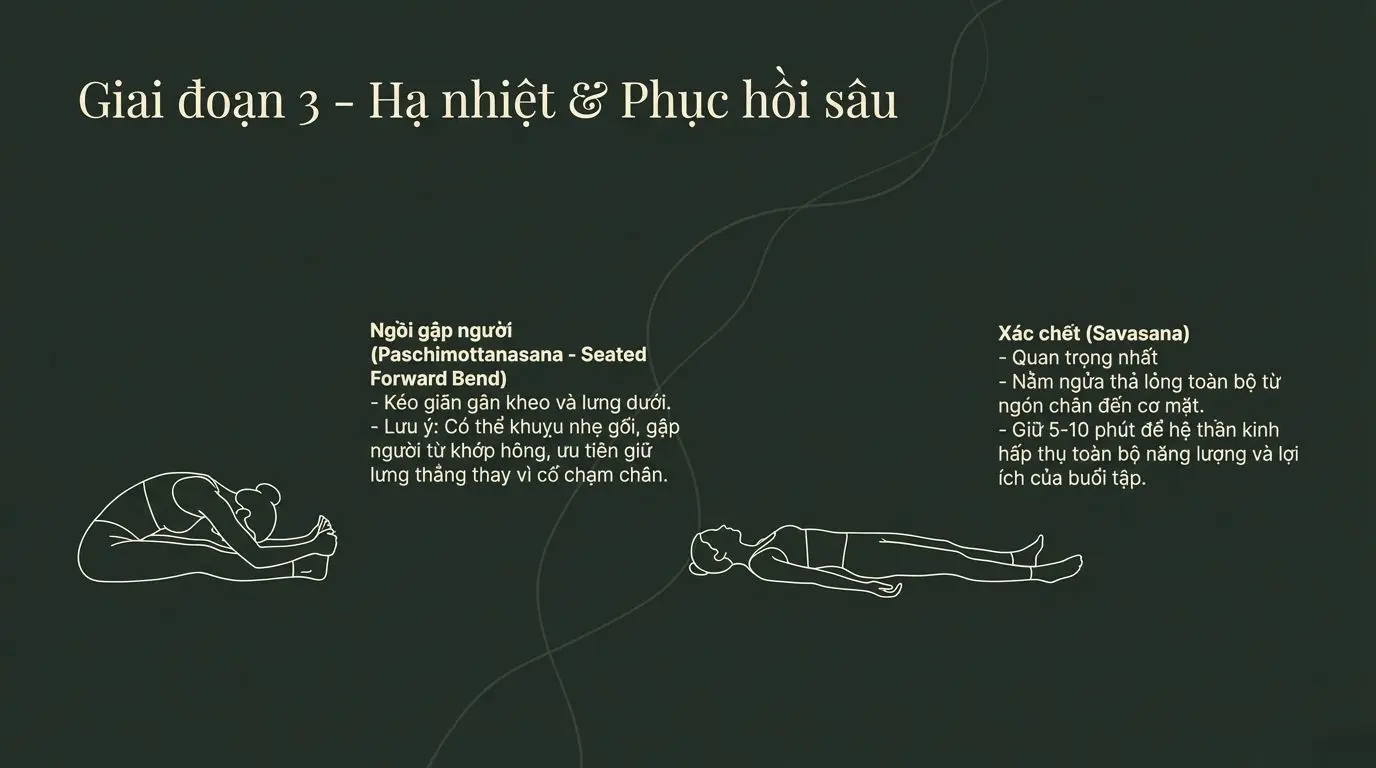 Giai đoạn 3 hạ nhiệt và phục hồi sâu