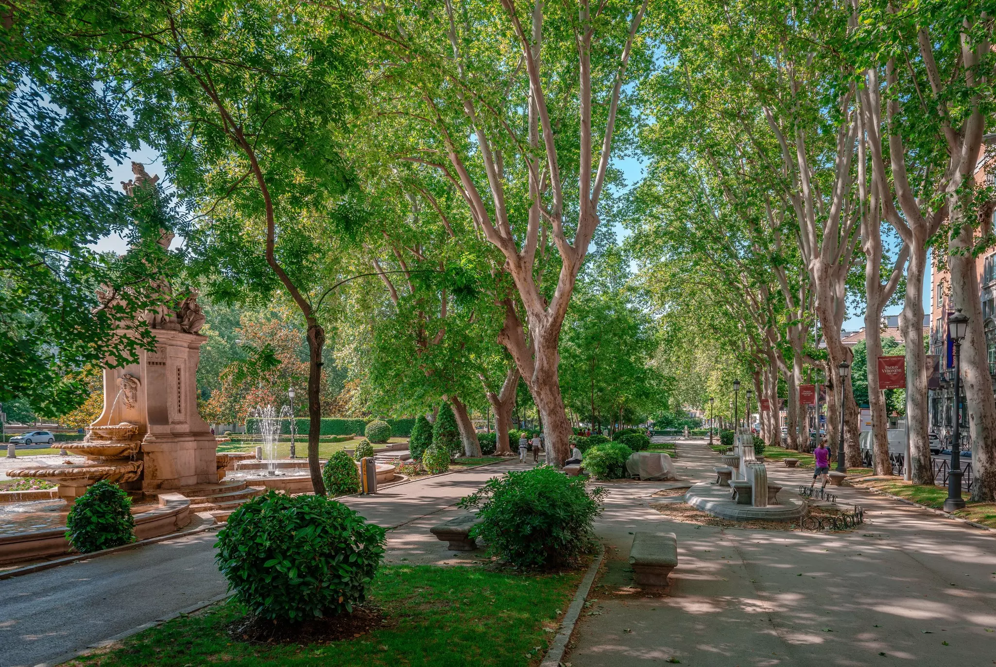 Đại lộ Paseo del Prado tại trung tâm Madrid với đài phun nước Apollo
