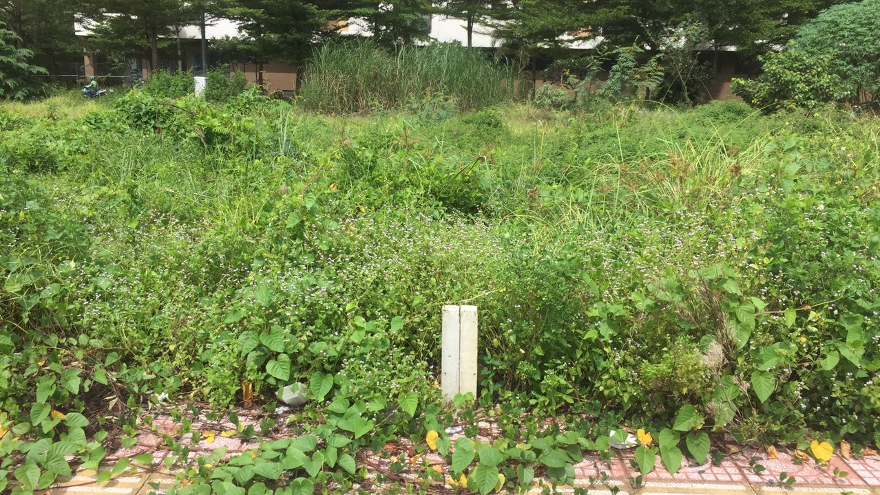 Xác định ranh thửa đất