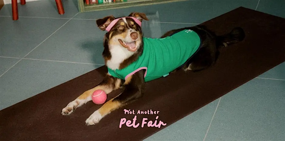 Not Another Pet Fair Singapore 2026