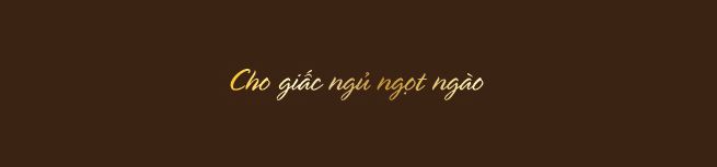 Slogan và ý tưởng chủ đạo của Springo