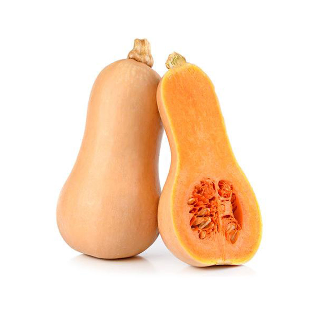 Bí hạt đậu hữu cơ