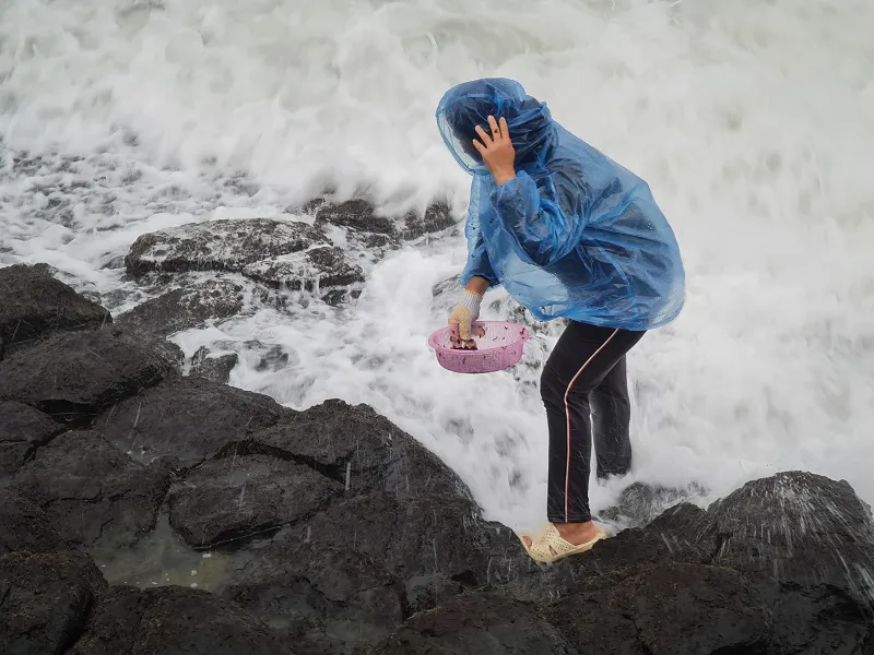 Bối cảnh sống của ngôi nhà