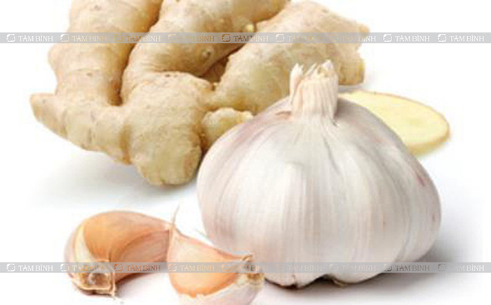 Gia vị tốt cho xương khớp