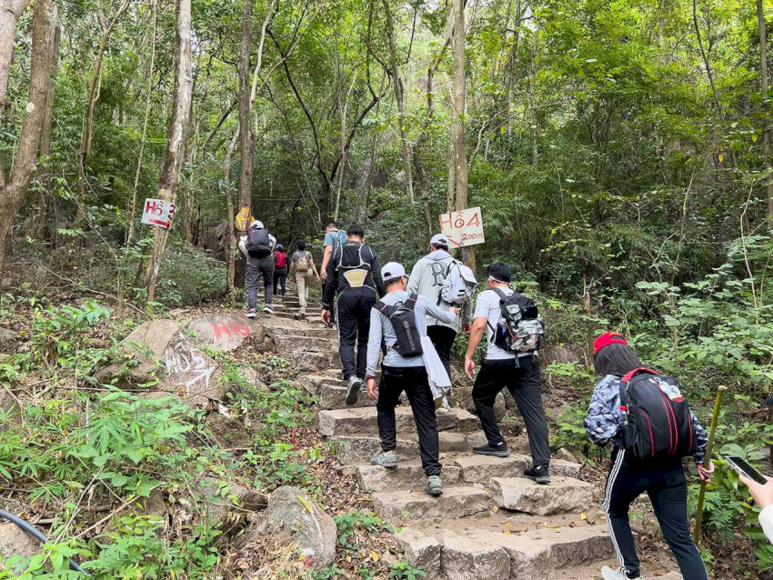 Đường trekking ở núi Dinh cũng có những đoạn khá dốc - Nguồn: Internet