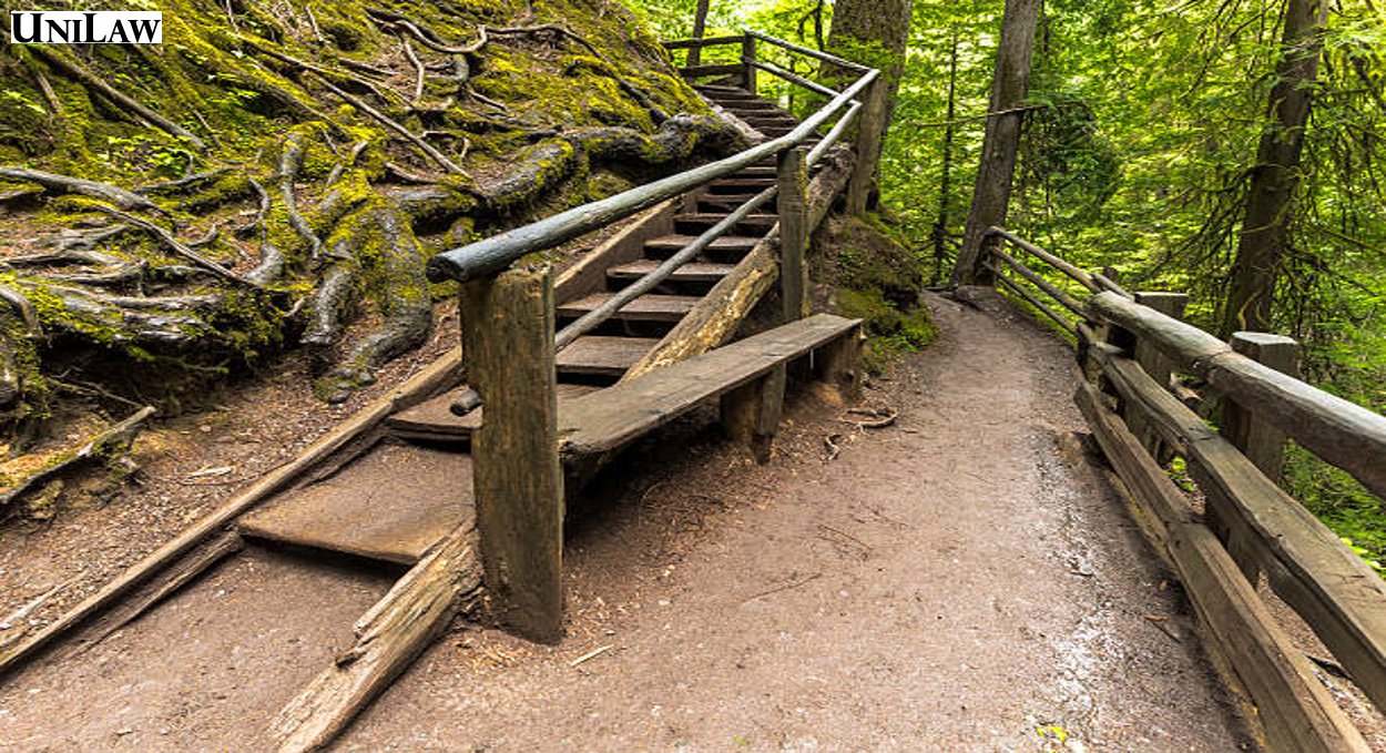 Trình tự thủ tục sổ đỏ