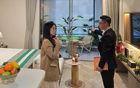 Biểu đồ giá nhà