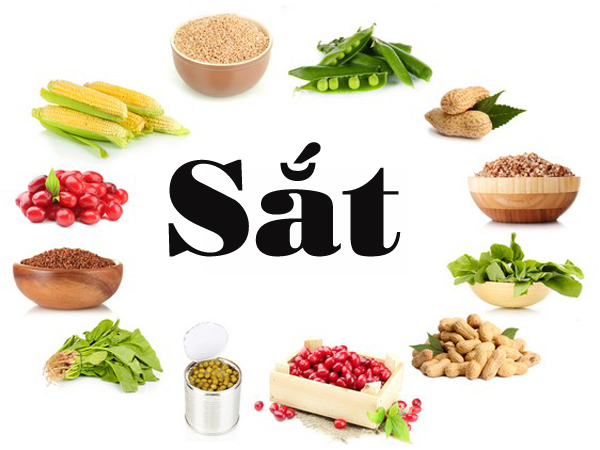 Thực phẩm bổ sung sắt cho bà bầu
