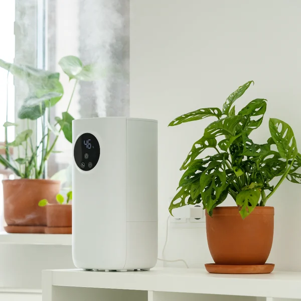 Nhiệt độ và độ ẩm