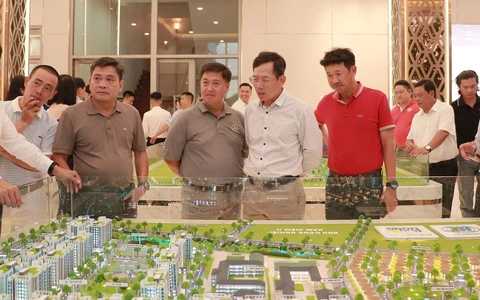 Dự án căn hộ mới