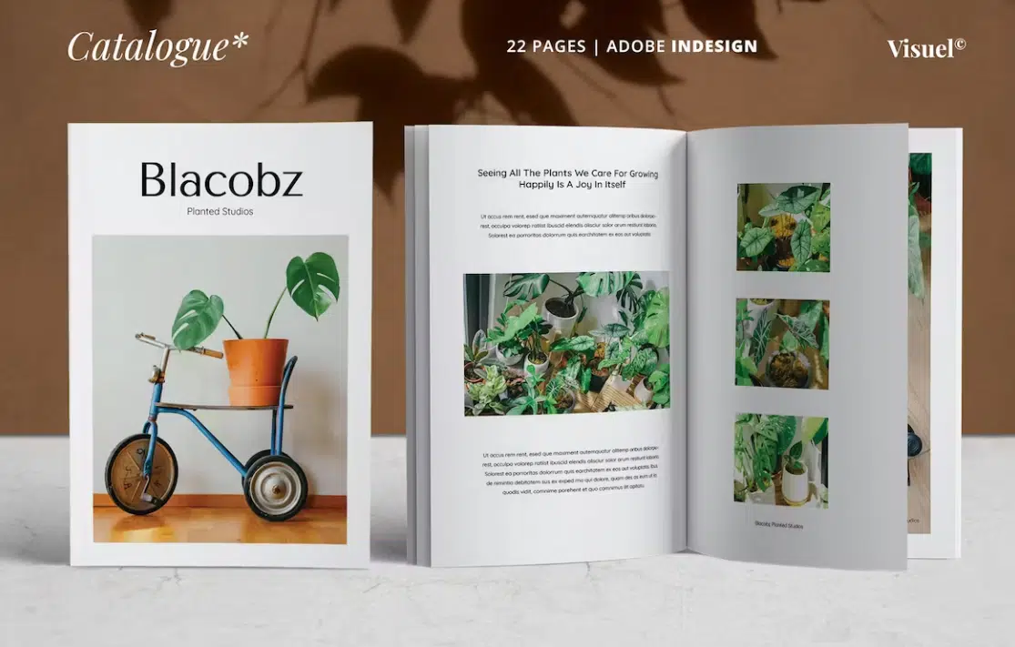 Lookbook dạng catalogue