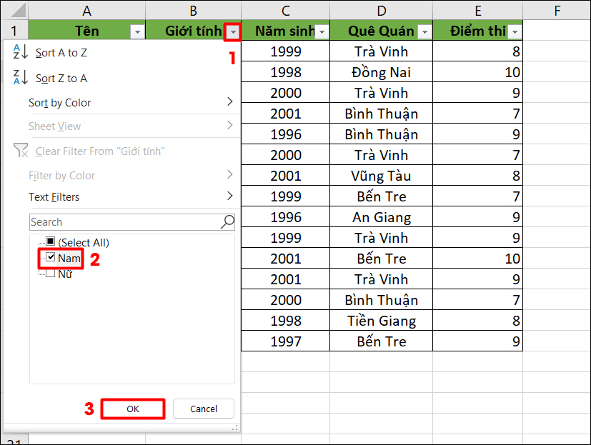 Bộ lọc Filter mặc định trong Excel