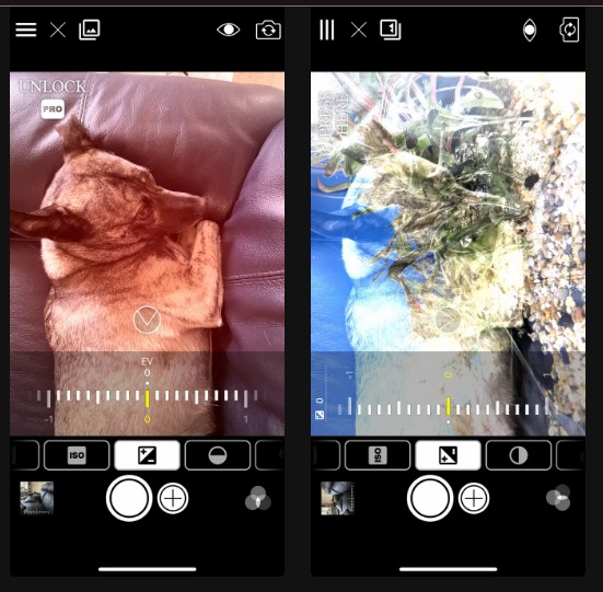 Tạo hiệu ứng phơi sáng kép cho hình ảnh bằng ứng dụng Double Exposure