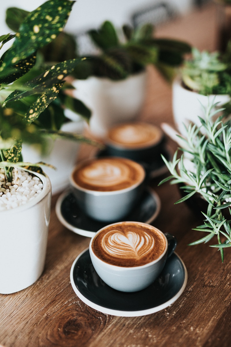 Ảnh tone ấm warm tone chỉnh bằng VSCO