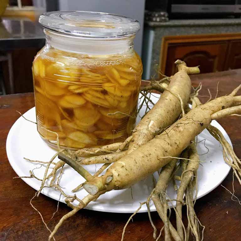 Bố cục và ánh sáng trong nhiếp ảnh