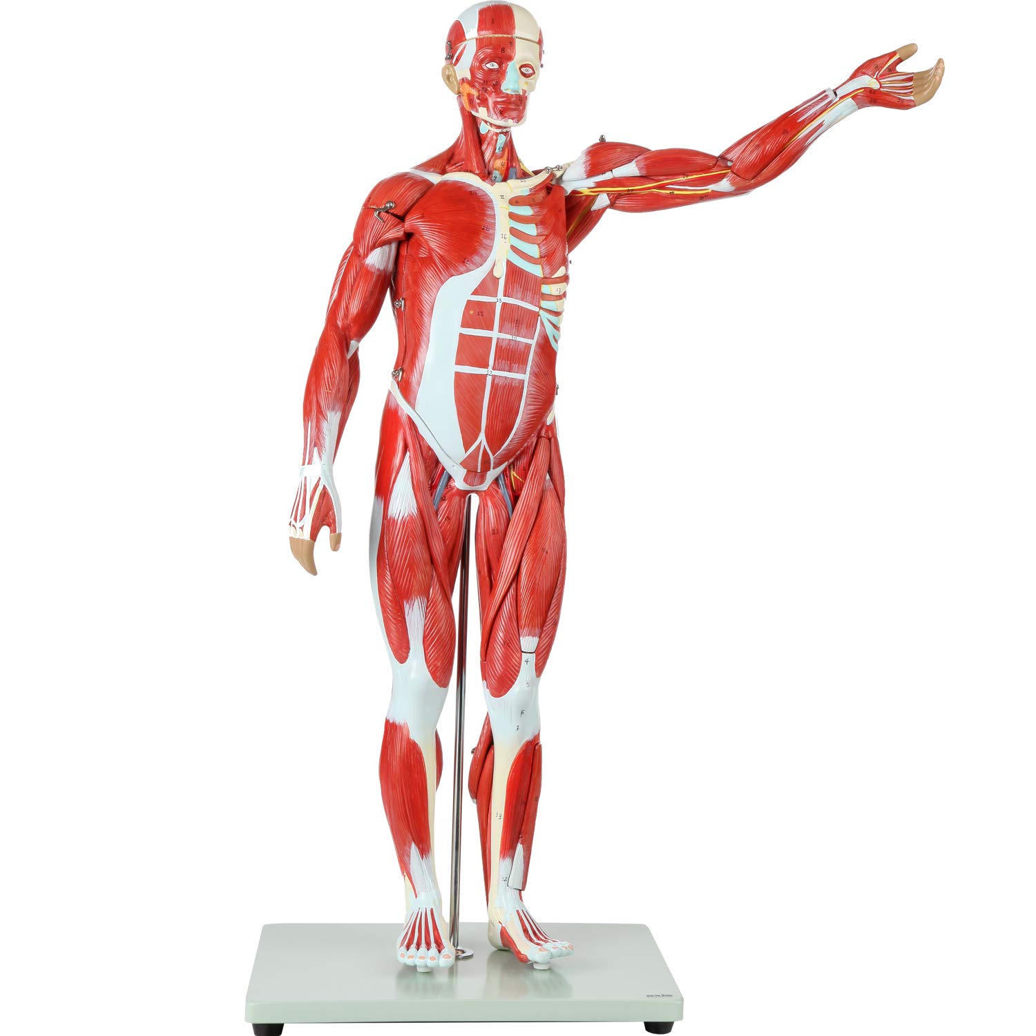 Đánh giá tiêu chí chọn ứng dụng che mặt