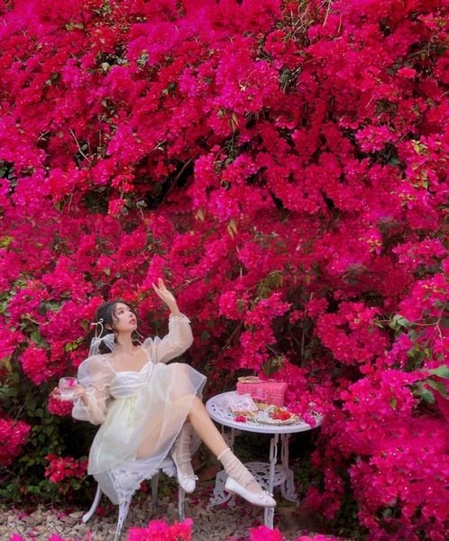 Tạo dáng ẩn mình sau giàn hoa giấy