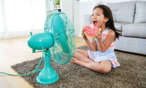 Làm mát nhà bằng quạt điện