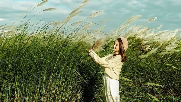 Cách tạo dáng chụp ảnh với cỏ lau bạt ngàn đầy chất thơ