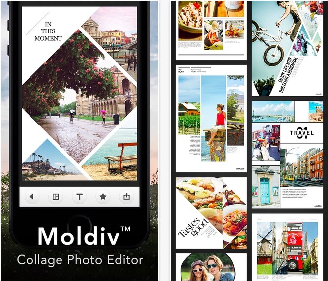 Template đẹp thu hút từ ứng dụng Moldiv